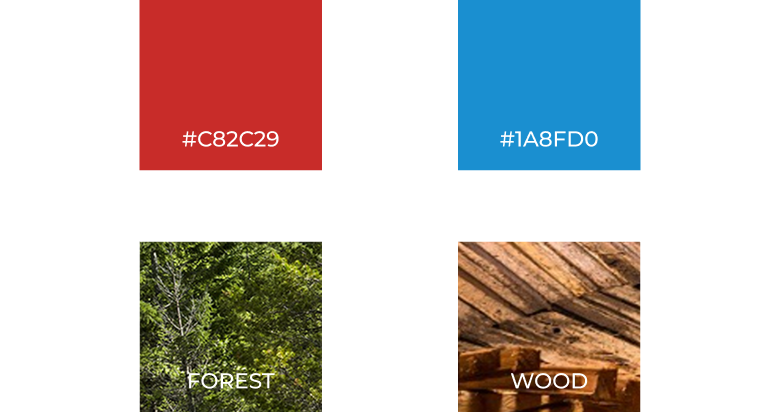 MTBK brand color palette